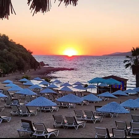 Inci * Bogazici